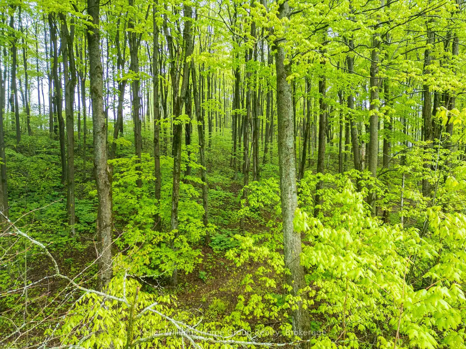 Photo 9 of PT LT 6 Baseline Road, Grey Highlands — HOMEH