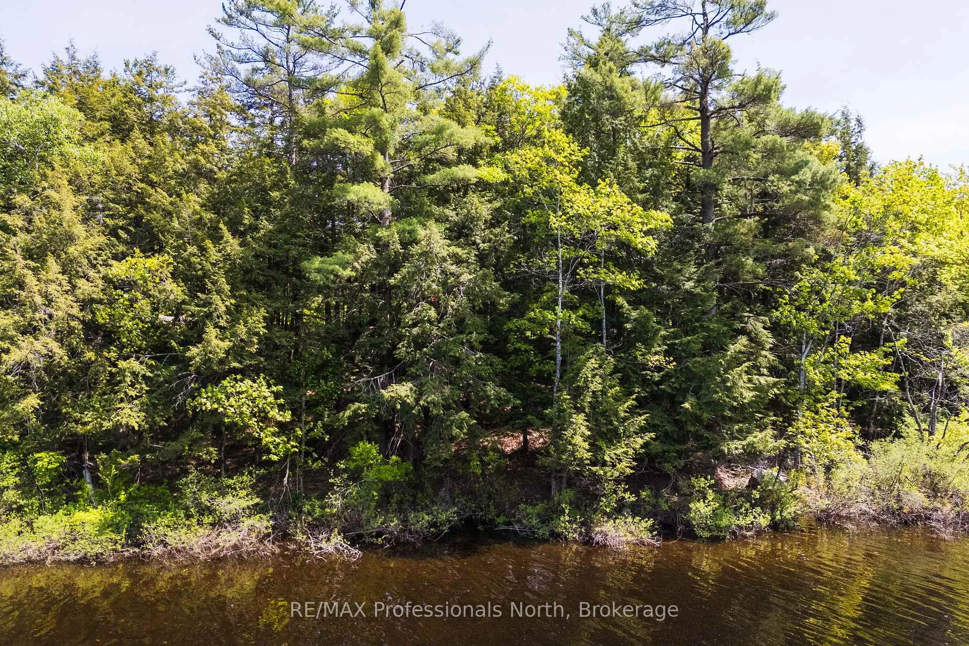 Photo 11 of Unit 2, 1204 South Morrison Lake Road, Gravenhurst, Wood (Gravenhurst) — HOMEH