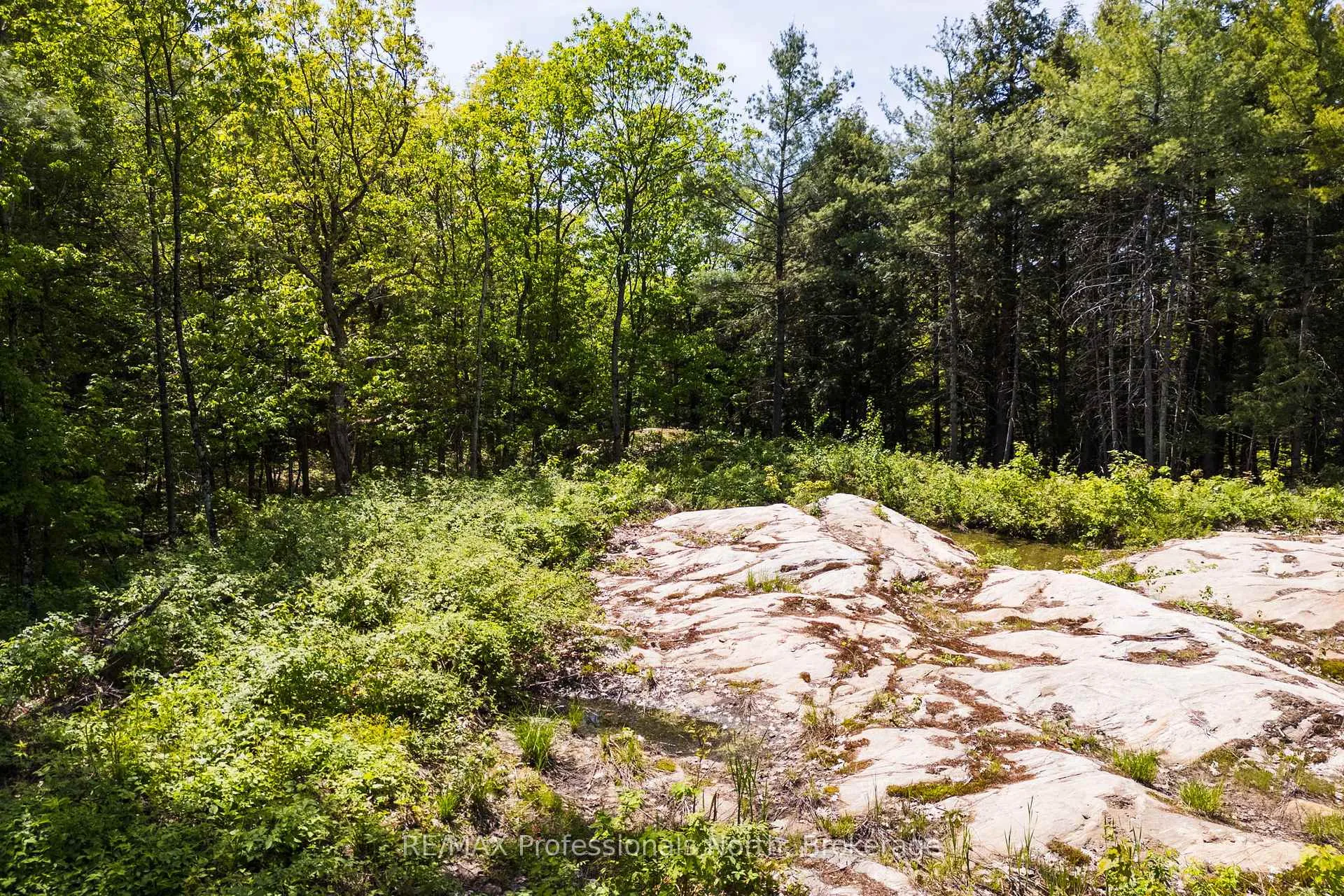 Photo 16 of Unit 2, 1204 South Morrison Lake Road, Gravenhurst, Wood (Gravenhurst) — HOMEH