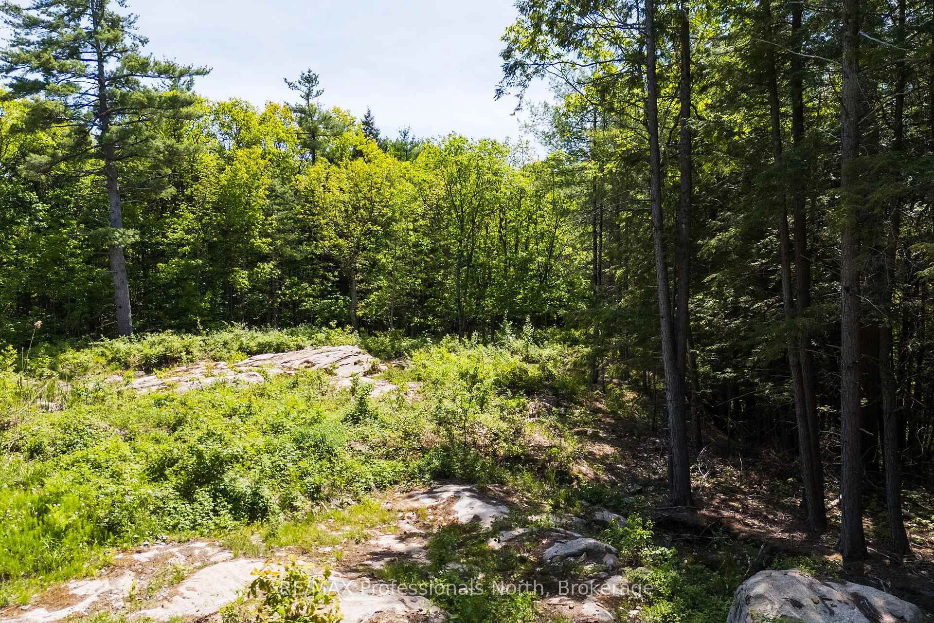 Photo 21 of Unit 2, 1204 South Morrison Lake Road, Gravenhurst, Wood (Gravenhurst) — HOMEH