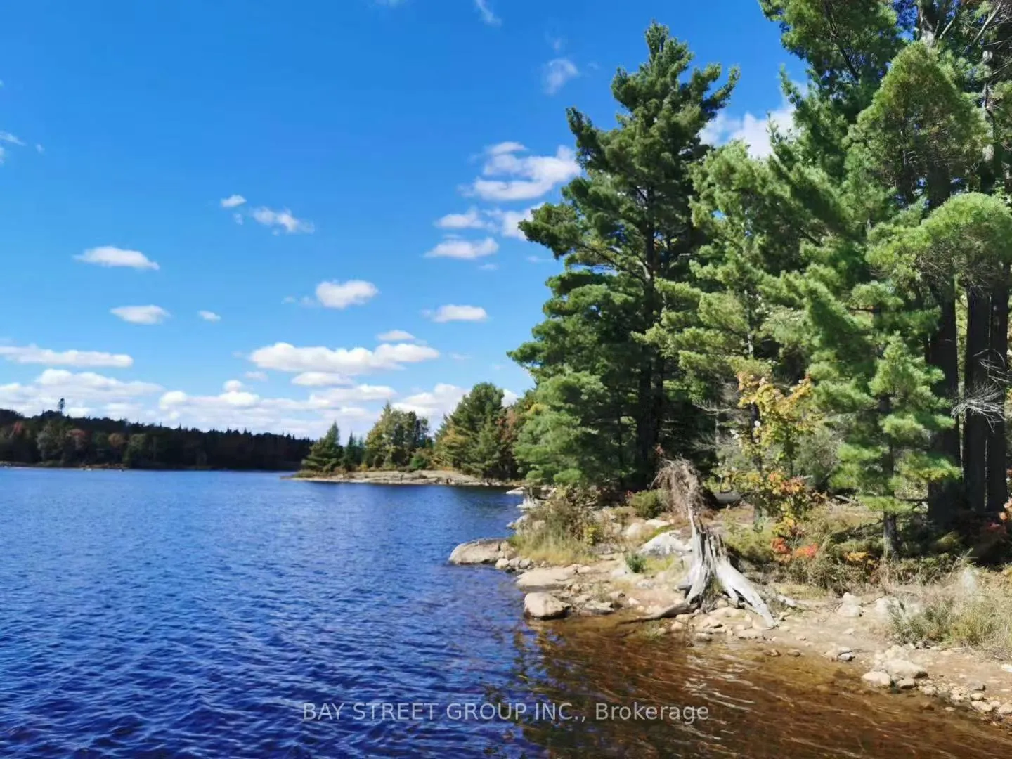 Photo of 157 Lake Vision Road