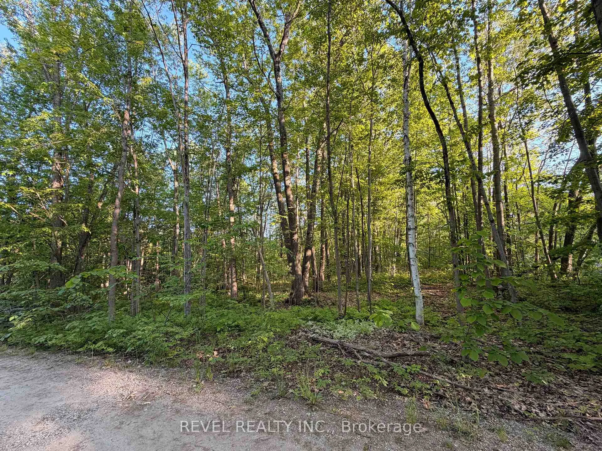 Photo 8 of 7509 Baldwin Lane, Ramara, Rural Ramara — HOMEH