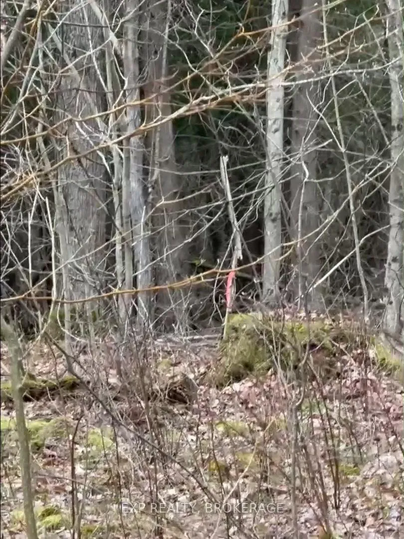 Photo 30 of 7666 Highway 38 Road, Frontenac, Frontenac South — HOMEH