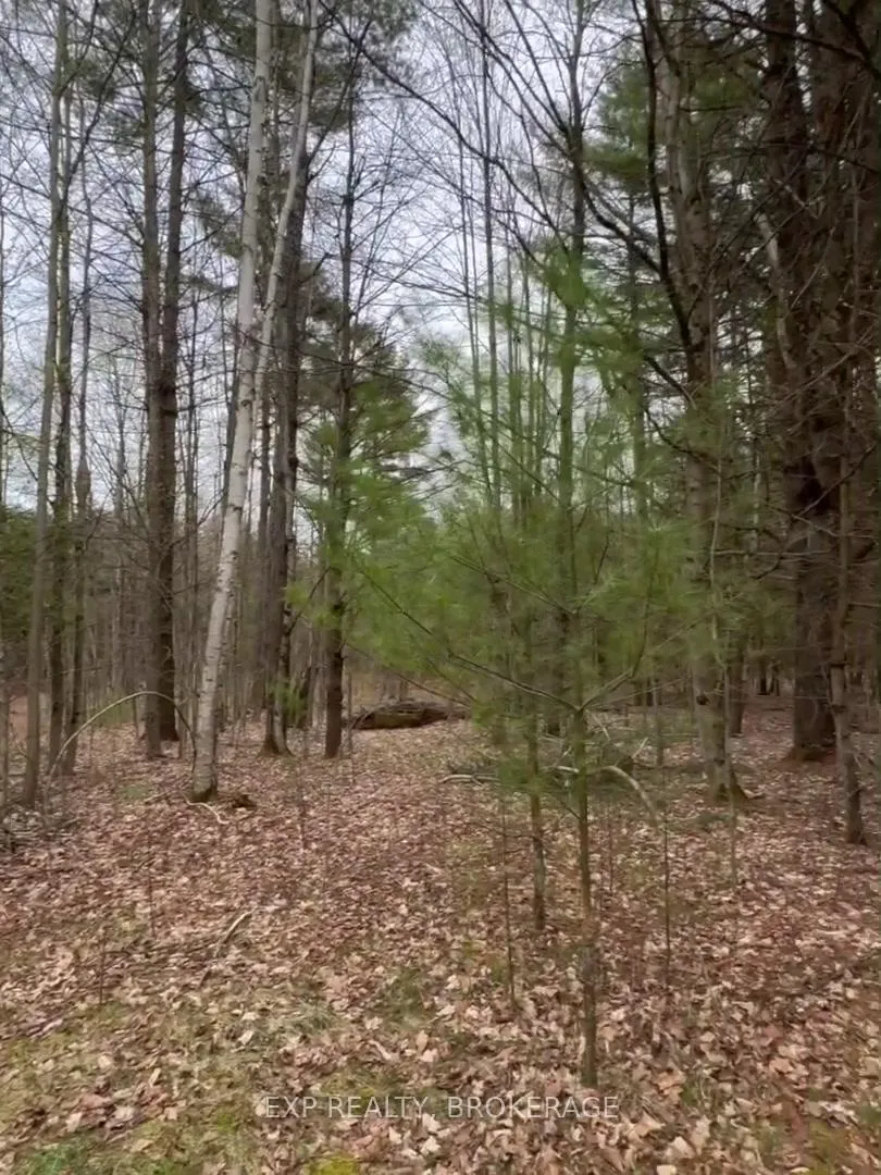 Photo 37 of 7666 Highway 38 Road, Frontenac, Frontenac South — HOMEH