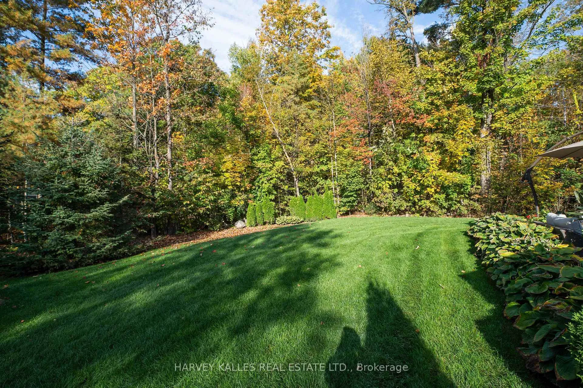Photo 51 of 6 Georgina Drive, Barrie, North Shore — HOMEH