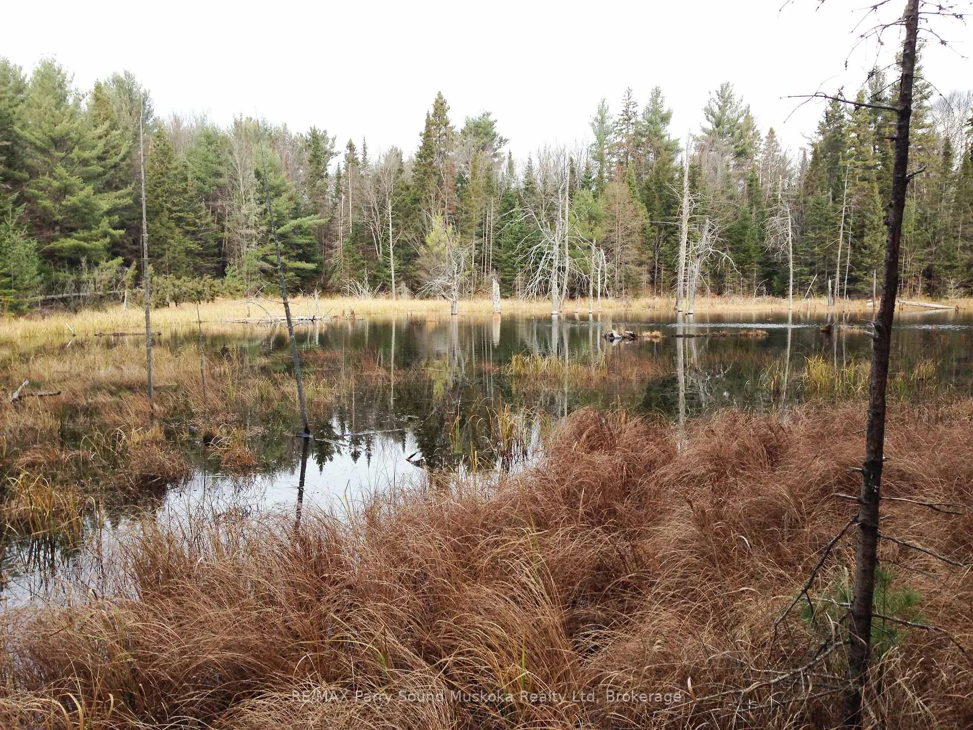 Photo 2 of Lot 6 Con 5, Magnetawan, Spence — HOMEH
