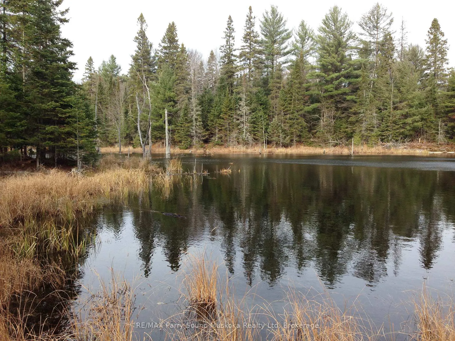 Photo 3 of Lot 6 Con 5, Magnetawan, Spence — HOMEH