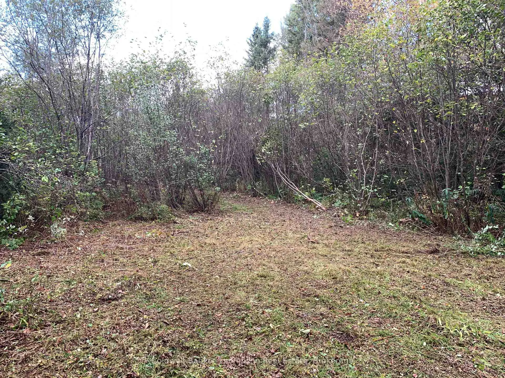 Photo 14 of 101 Proudfoot Road, Armour — HOMEH