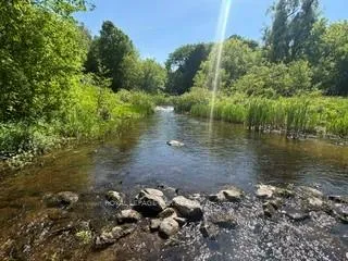 Photo 34 of 1552 Queen Street, Caledon, Alton — HOMEH