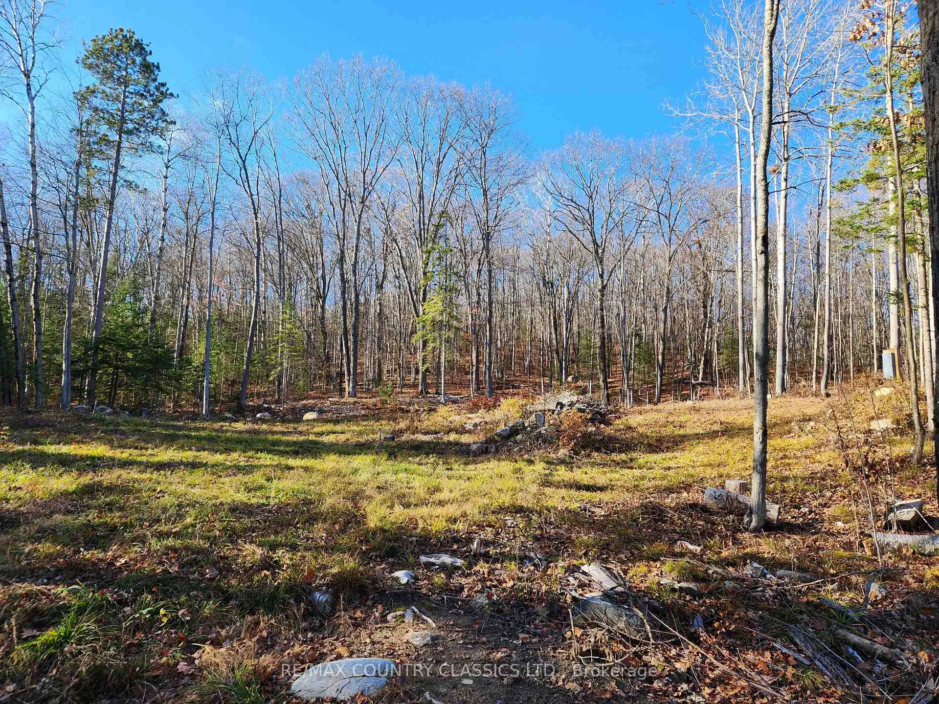 Photo of 790 Mitchell Road