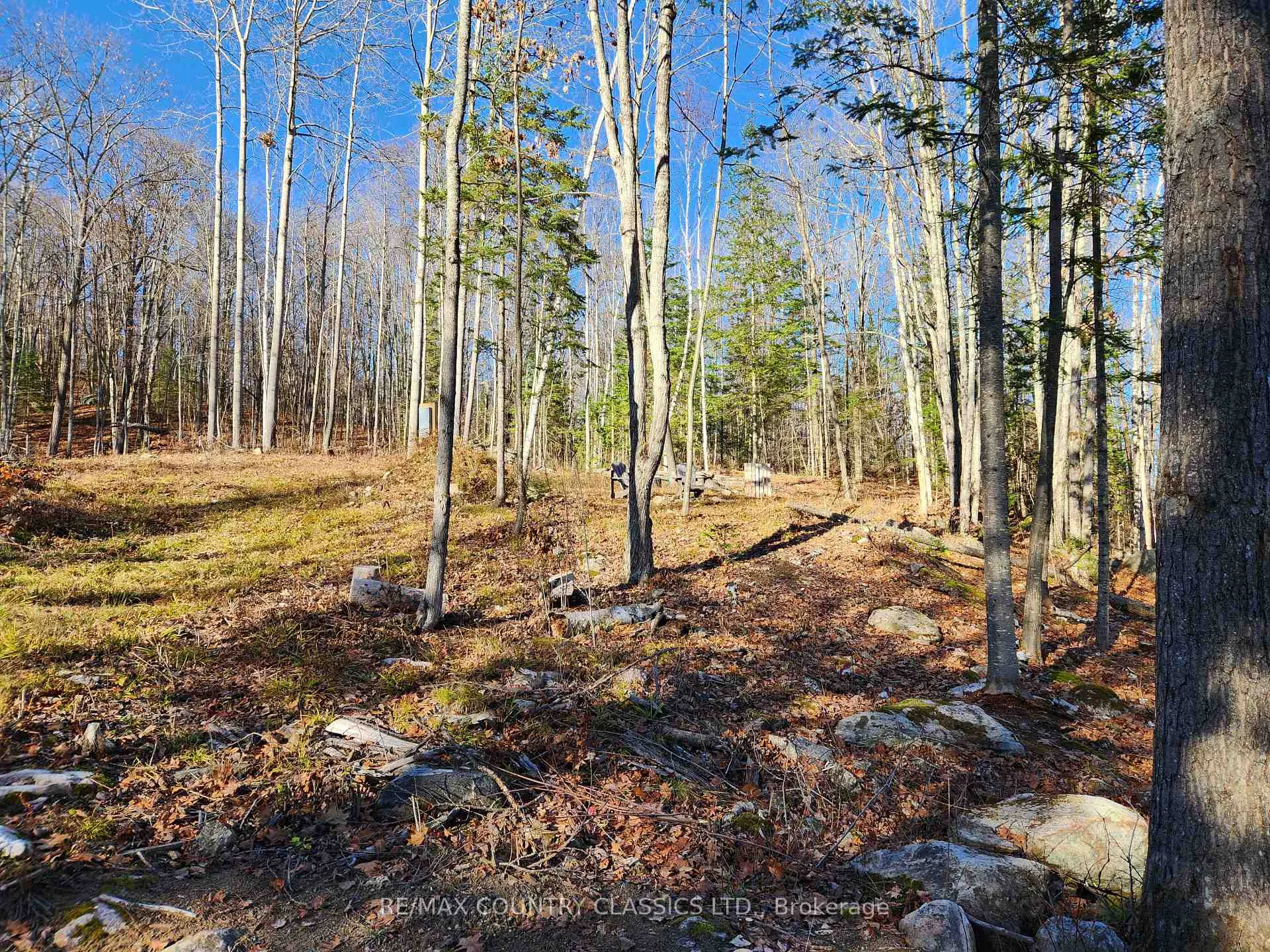 Photo 2 of 790 Mitchell Road, Madawaska Valley, Madawaska Valley — HOMEH
