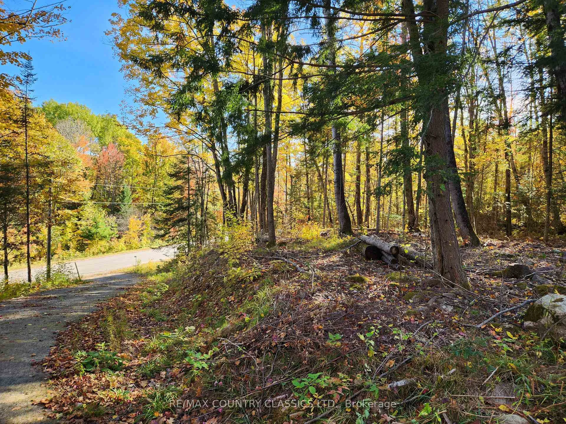 Photo 3 of 790 Mitchell Road, Madawaska Valley, Madawaska Valley — HOMEH