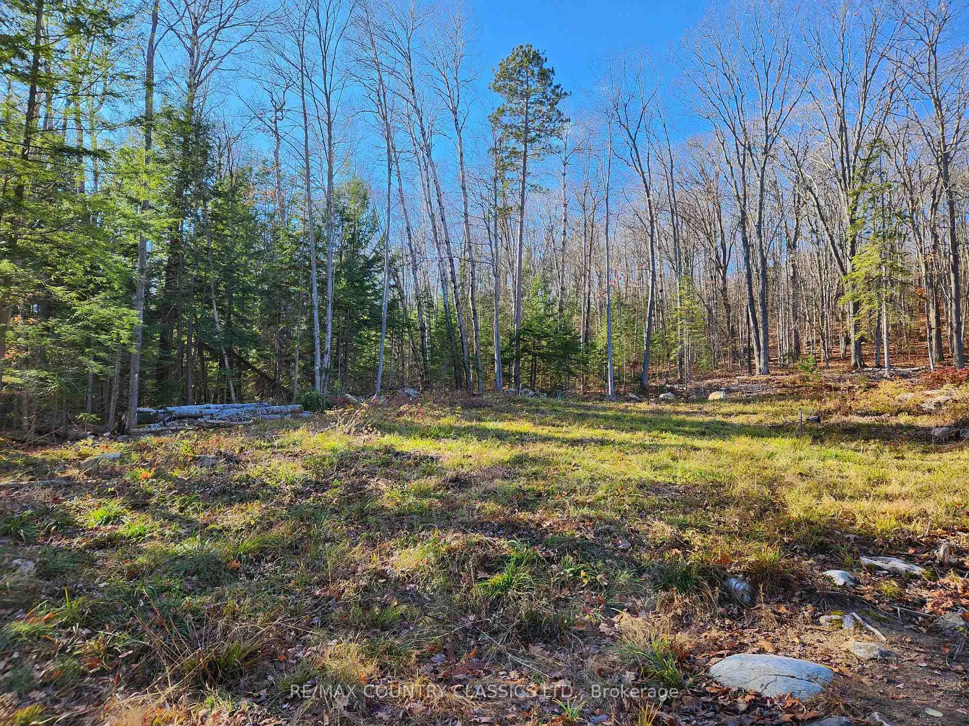 Photo 8 of 790 Mitchell Road, Madawaska Valley, Madawaska Valley — HOMEH