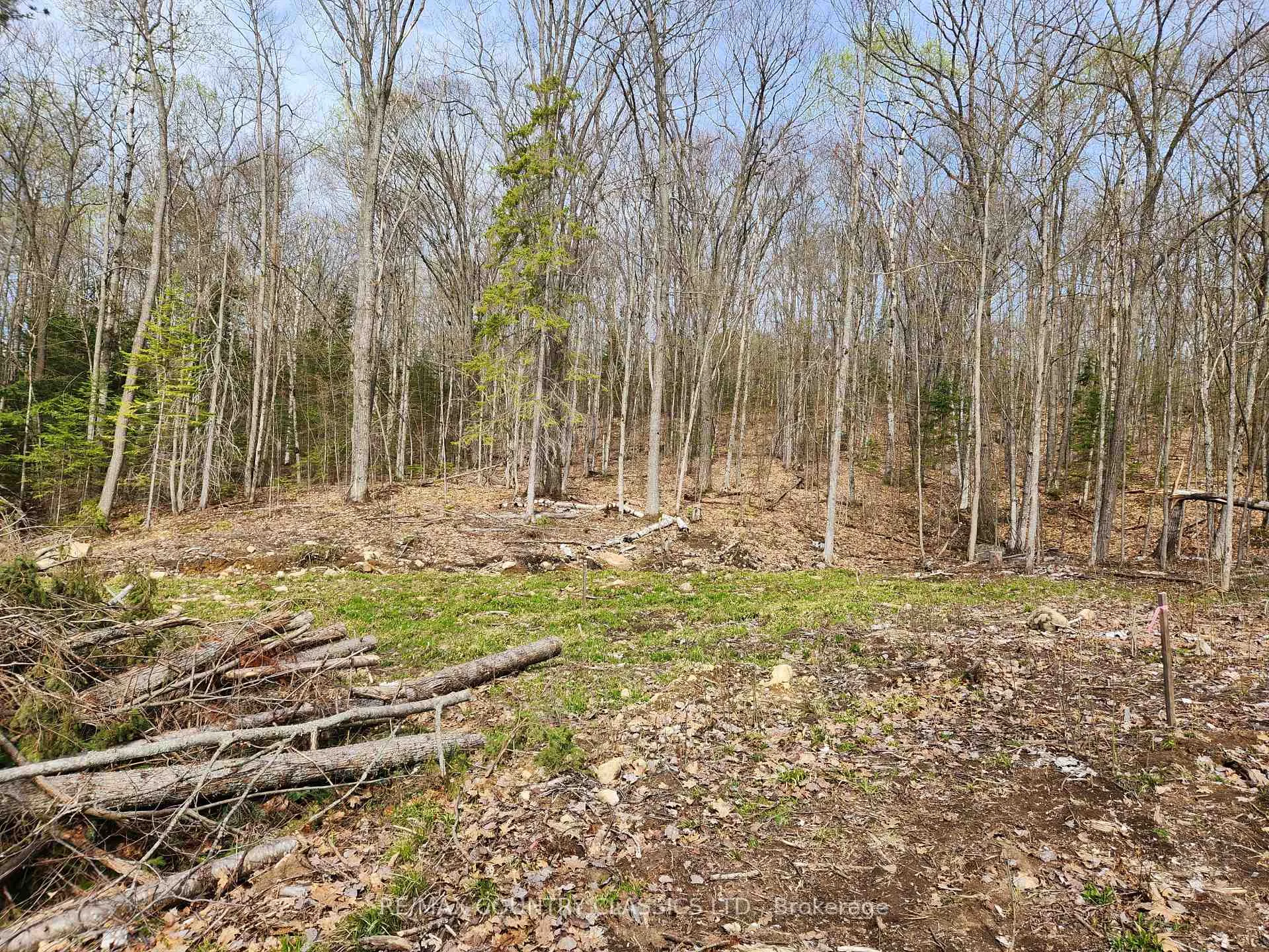 Photo 10 of 790 Mitchell Road, Madawaska Valley, Madawaska Valley — HOMEH