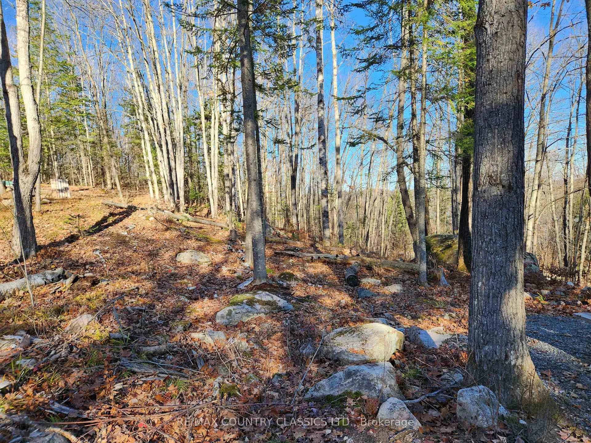 Photo 11 of 790 Mitchell Road, Madawaska Valley, Madawaska Valley — HOMEH