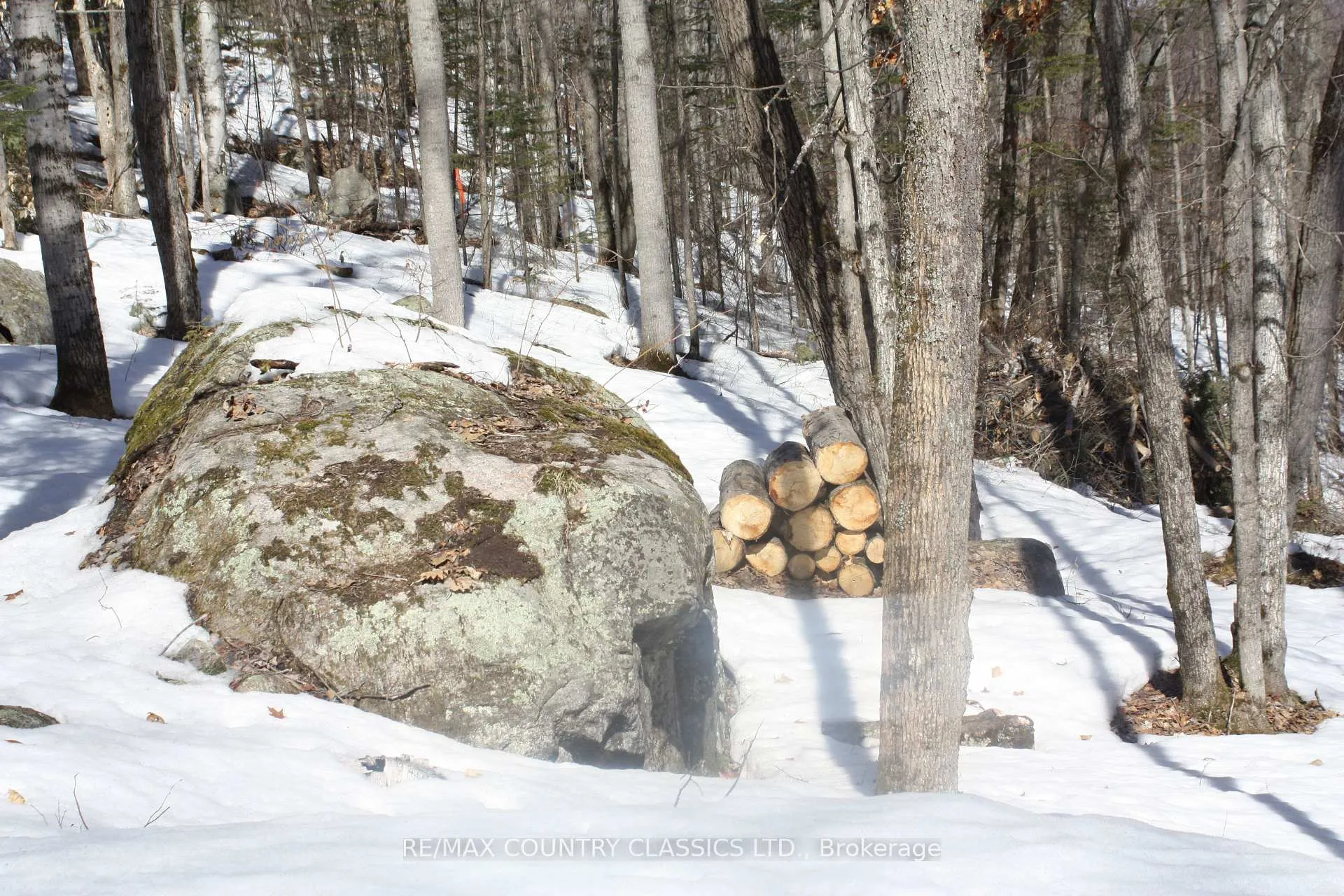 Photo 12 of 790 Mitchell Road, Madawaska Valley, Madawaska Valley — HOMEH