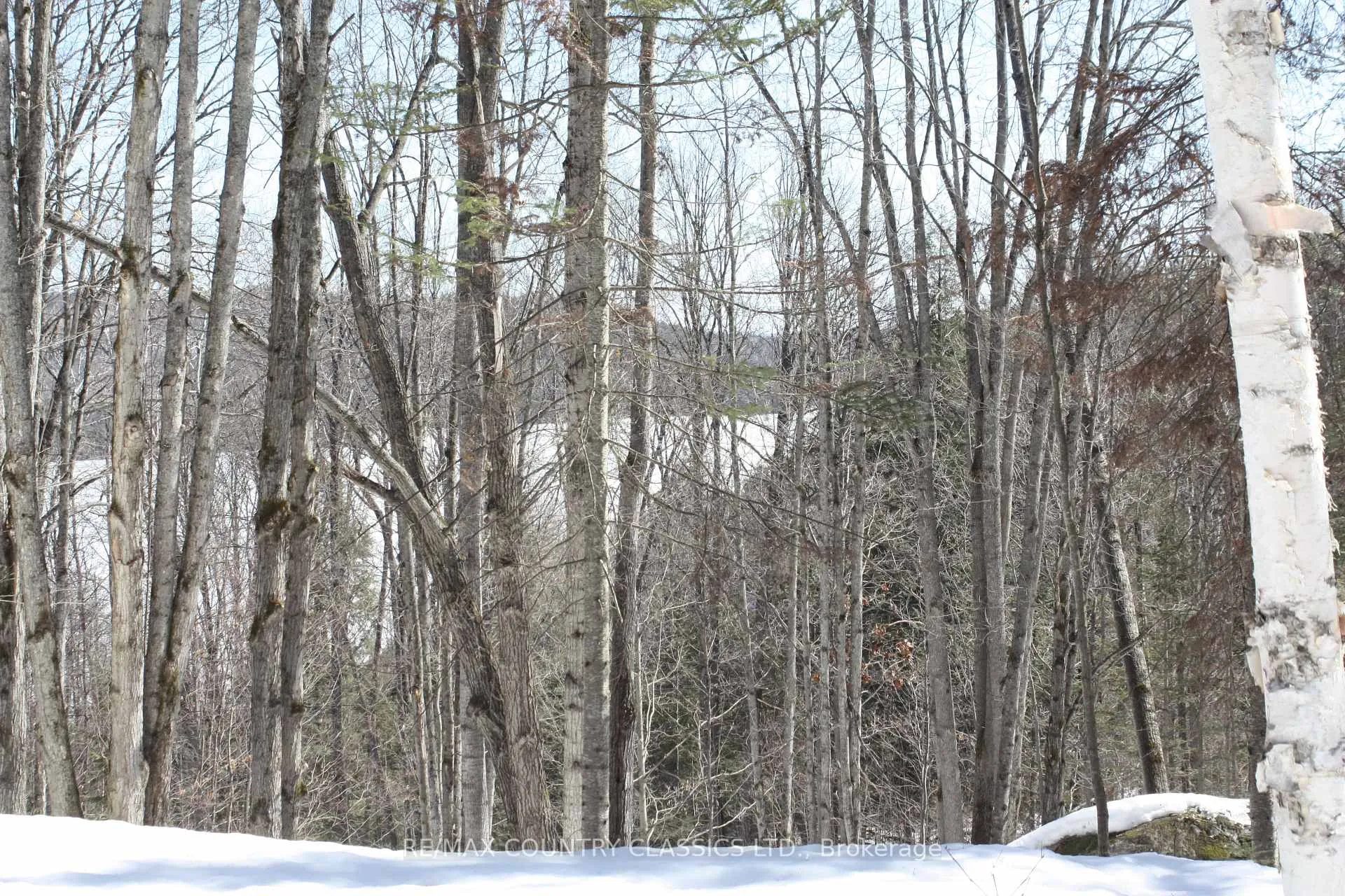 Photo 13 of 790 Mitchell Road, Madawaska Valley, Madawaska Valley — HOMEH