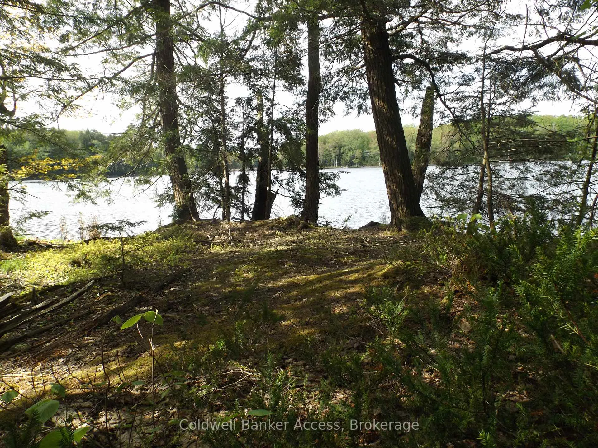 Photo of 1108 Buckeye Road