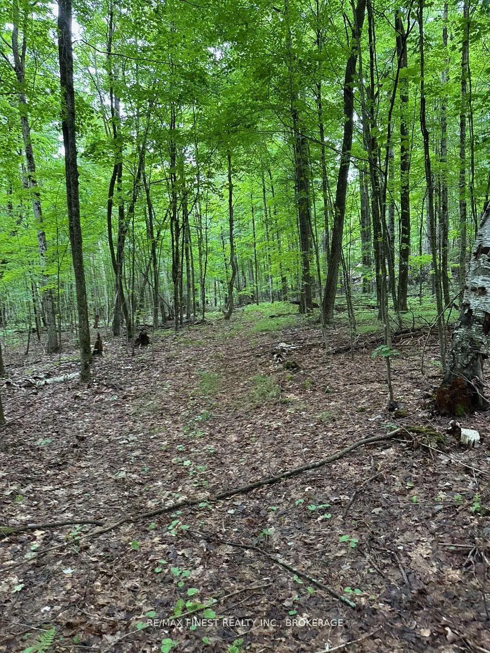 Photo 3 of 1042 St Pierre Road, Frontenac, Frontenac North — HOMEH