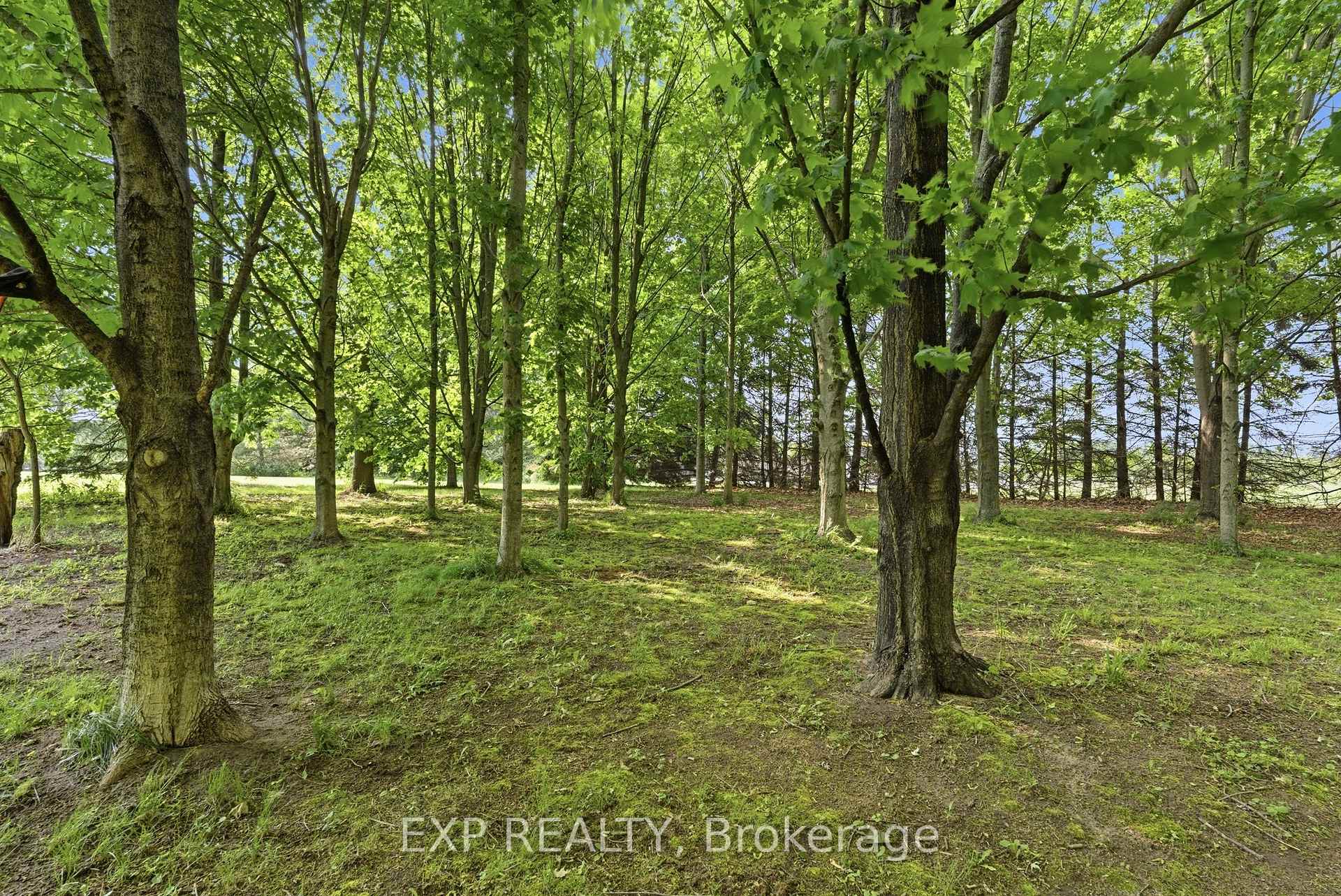 Photo 32 of 1602 Third Street, St. Catharines, Rural Fourth — HOMEH