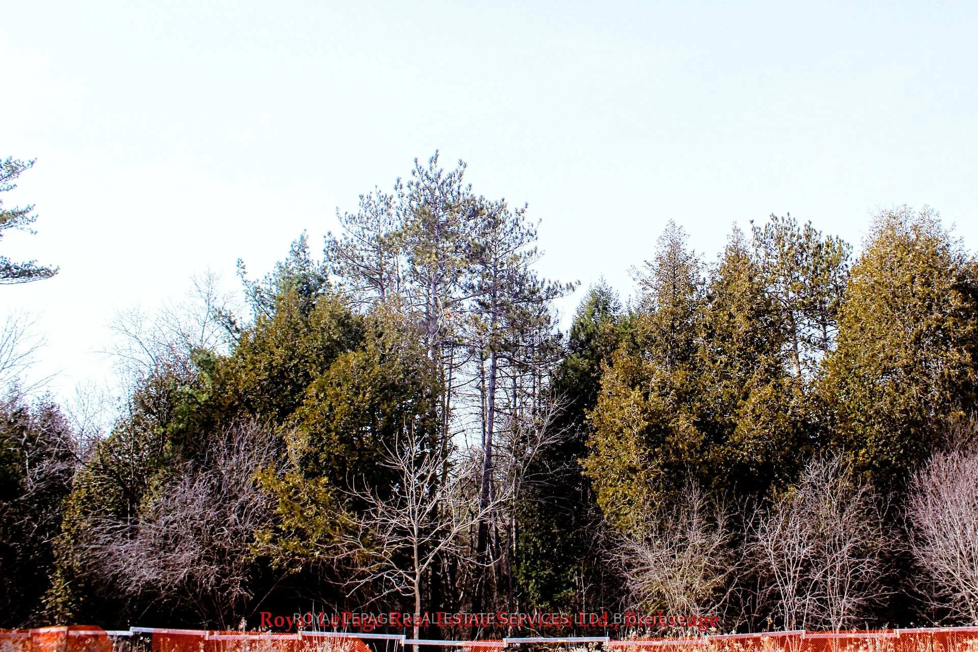 Photo 48 of 63 Arabela Drive, Guelph, Kortright East — HOMEH