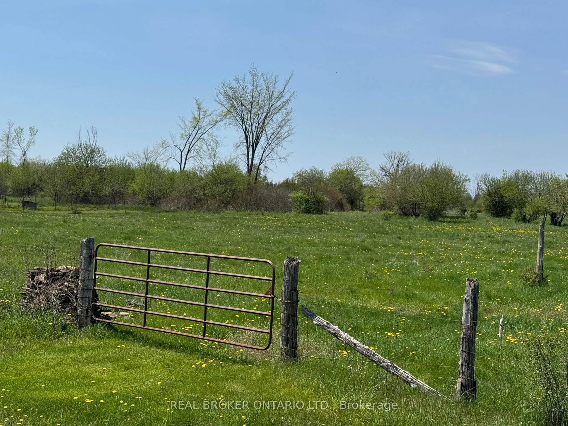Photo of 00 William Campbell Road