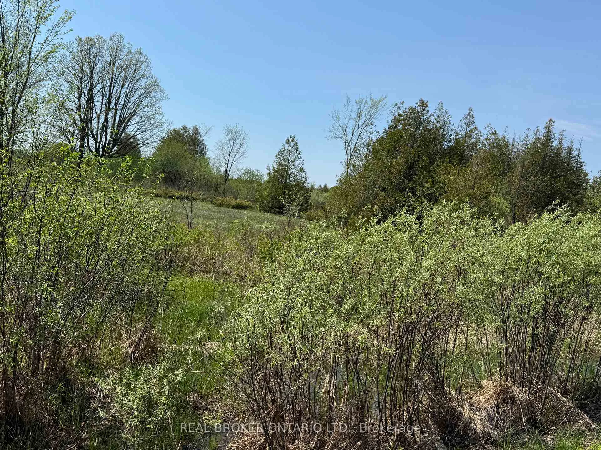 Photo 6 of 00 William Campbell Road, Montague, Montague Twp — HOMEH