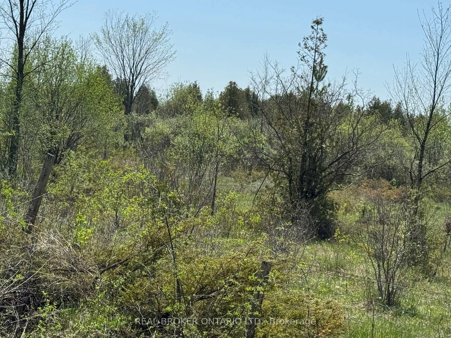 Photo 11 of 00 William Campbell Road, Montague, Montague Twp — HOMEH