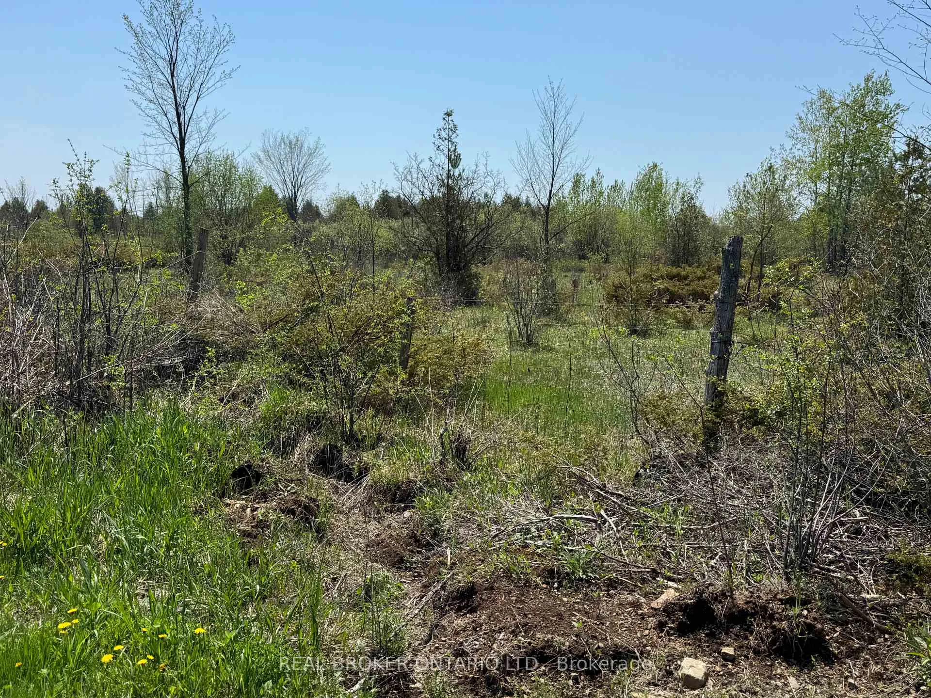 Photo 13 of 00 William Campbell Road, Montague, Montague Twp — HOMEH