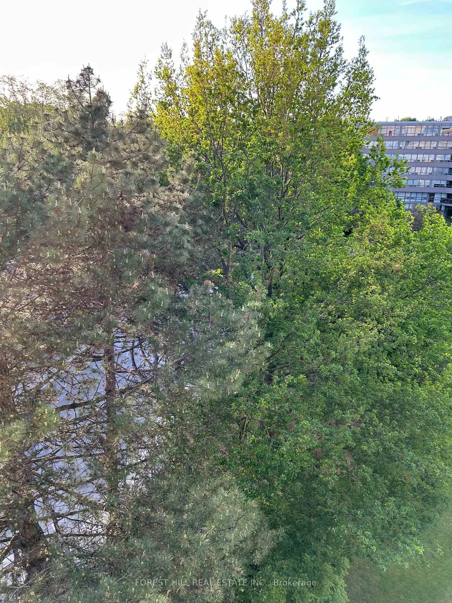 Photo 4 of Unit 602, 18 Lower Village Gate, Toronto, Forest Hill South — HOMEH