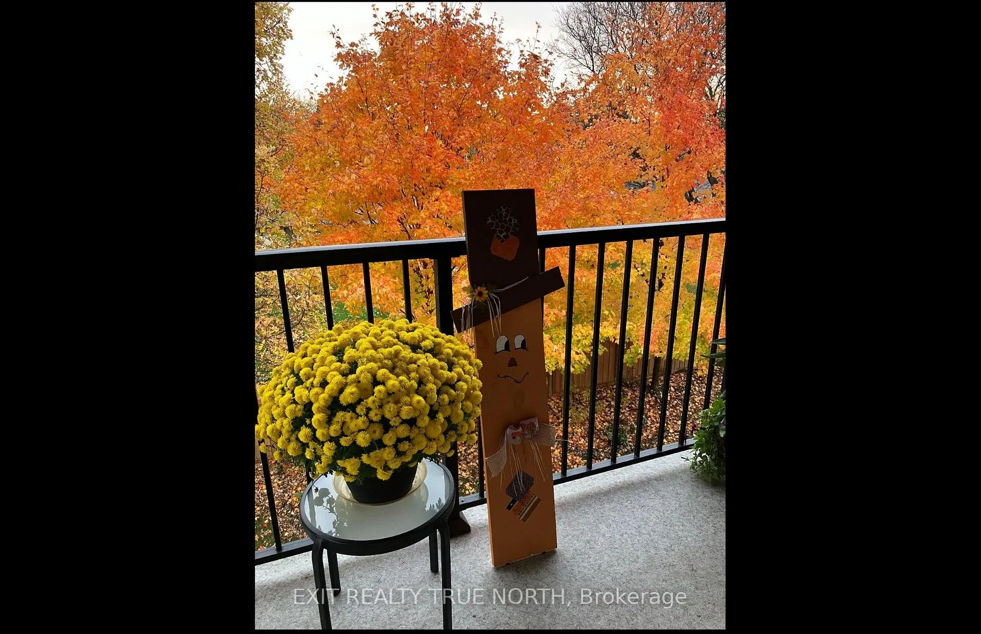 Photo 15 of Unit 204, 19B Yonge Street N, Springwater, Elmvale — HOMEH