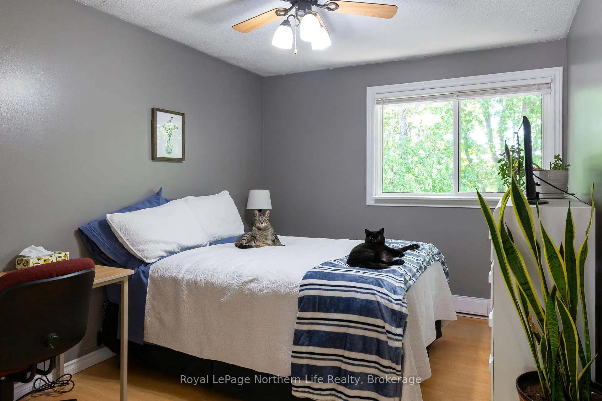 Photo 16 of 39 Lovell Avenue, North Bay, Ferris — HOMEH