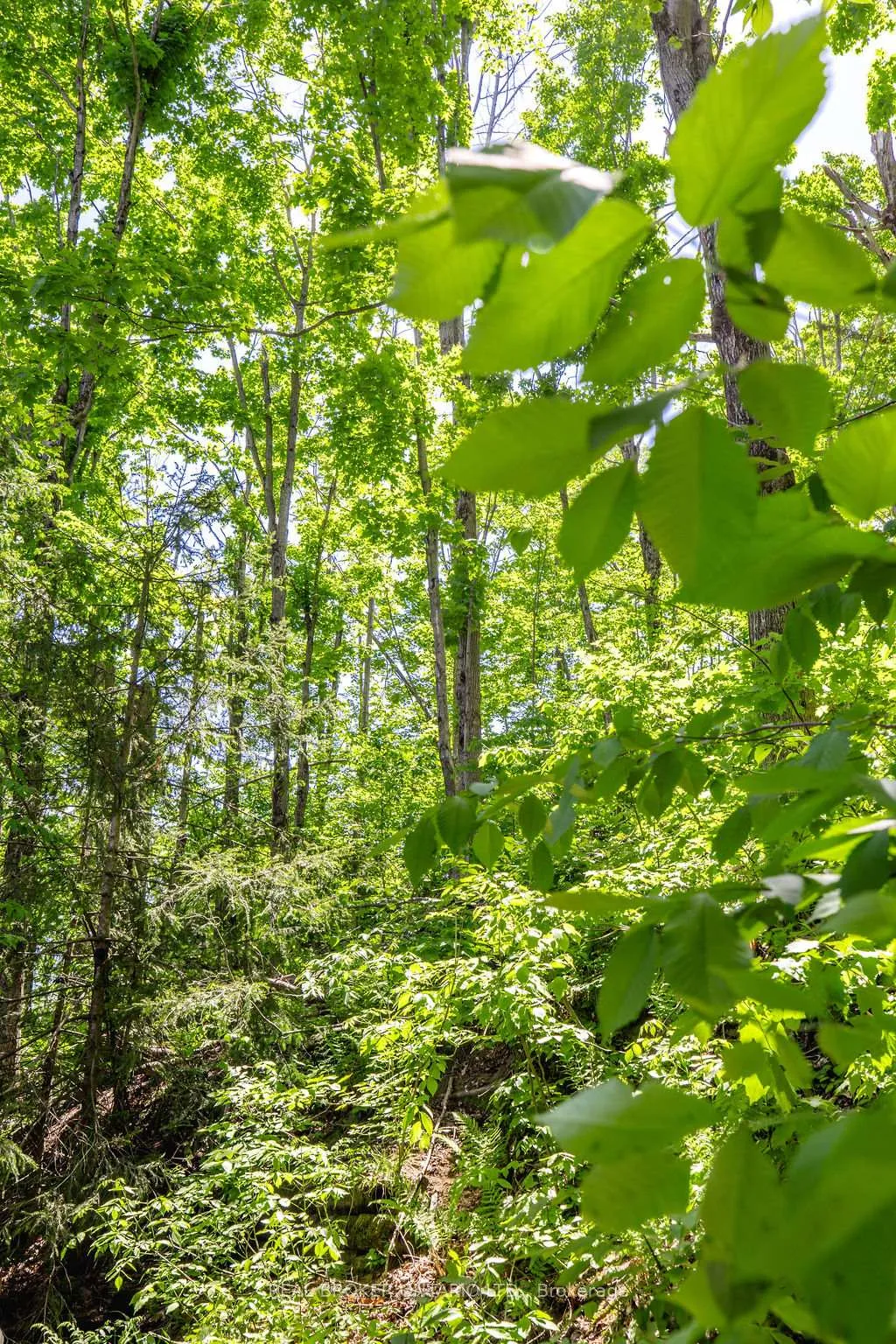 Photo 37 of 63 Huronwoods Drive, Oro-Medonte, Sugarbush — HOMEH