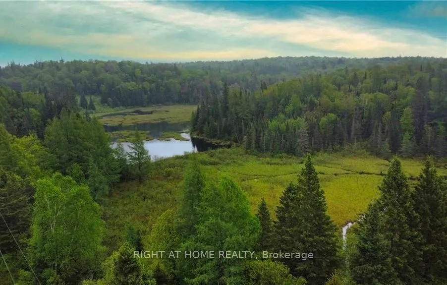 Photo 2 of 2087 Machar Strong Boundry Road, Strong — HOMEH