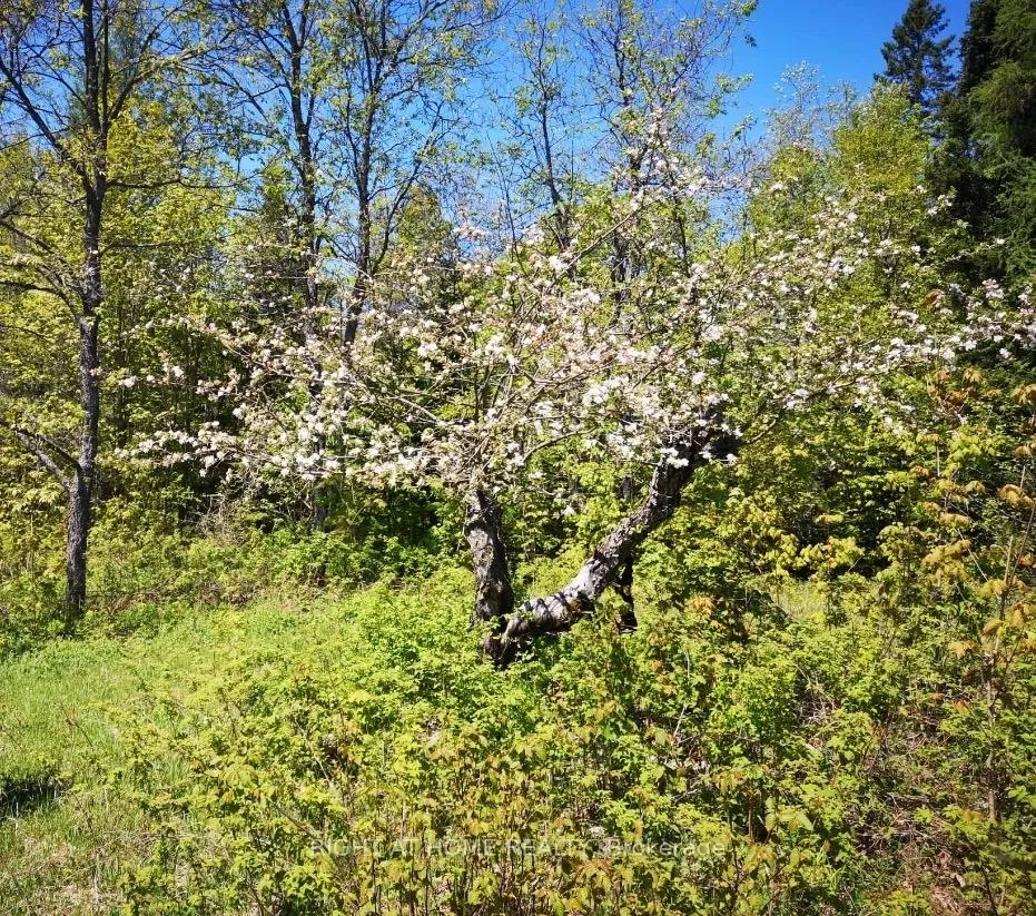 Photo 4 of 2087 Machar Strong Boundry Road, Strong — HOMEH