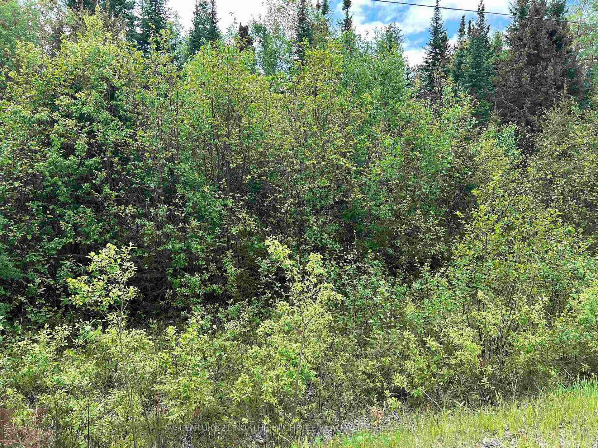 Photo 8 of Lot 5 Eagle Bay Road, Kenora, Redditt Road West — HOMEH