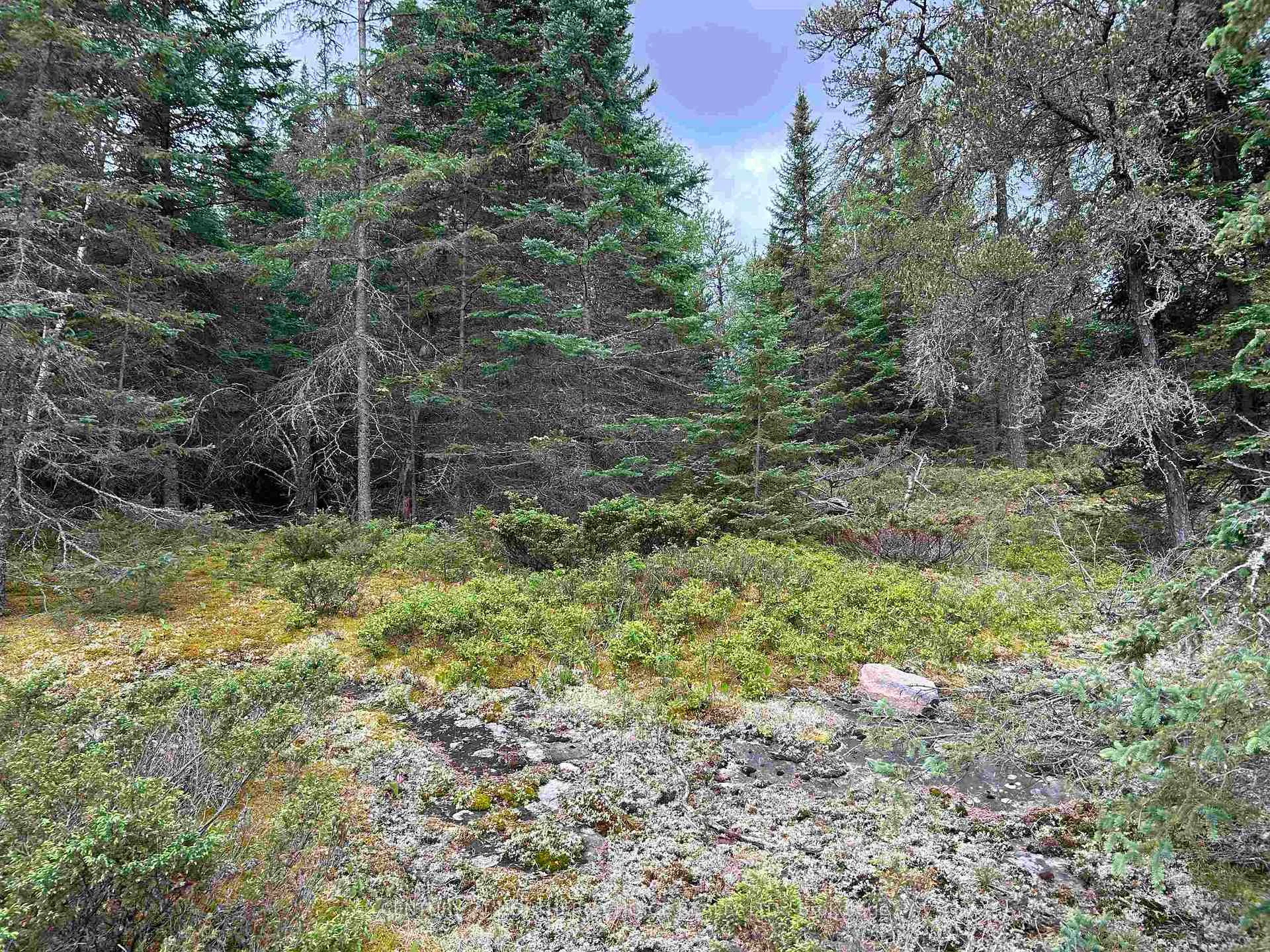 Photo 12 of Lot 5 Eagle Bay Road, Kenora, Redditt Road West — HOMEH