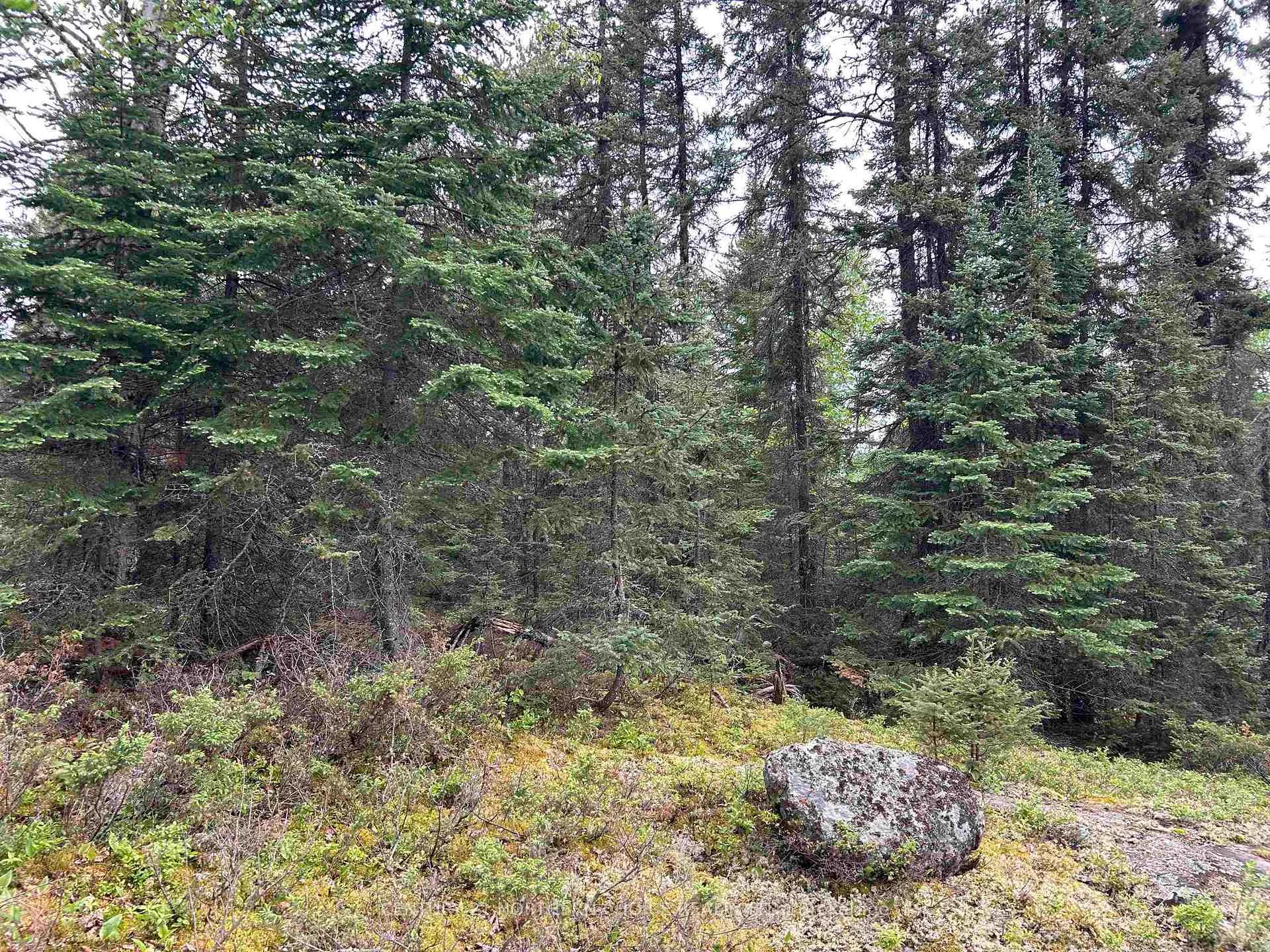 Photo 17 of Lot 5 Eagle Bay Road, Kenora, Redditt Road West — HOMEH