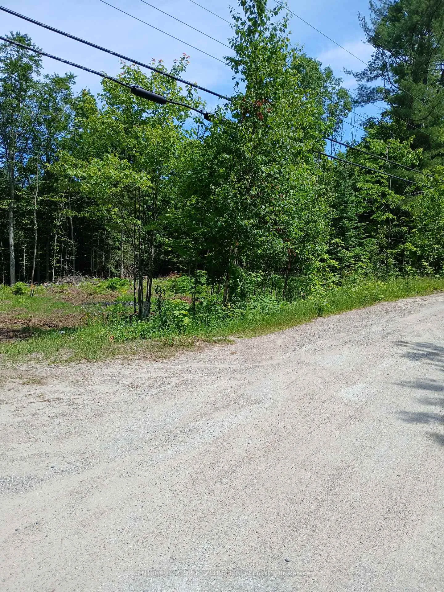 Photo of 1005 Porkys Road