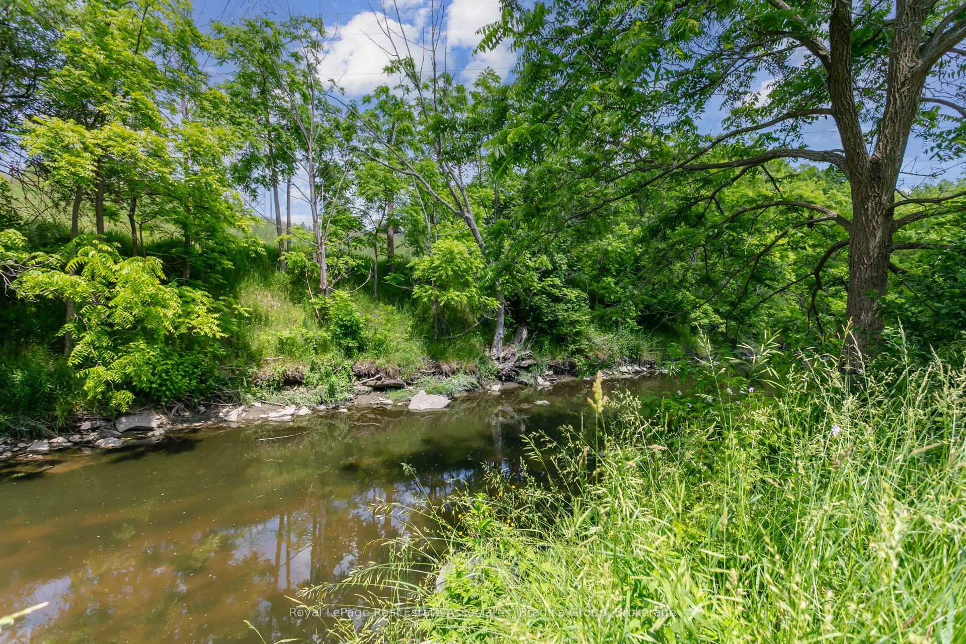 Photo 43 of 19 Lorraine Gardens, Etobicoke, Islington-City Centre West — HOMEH