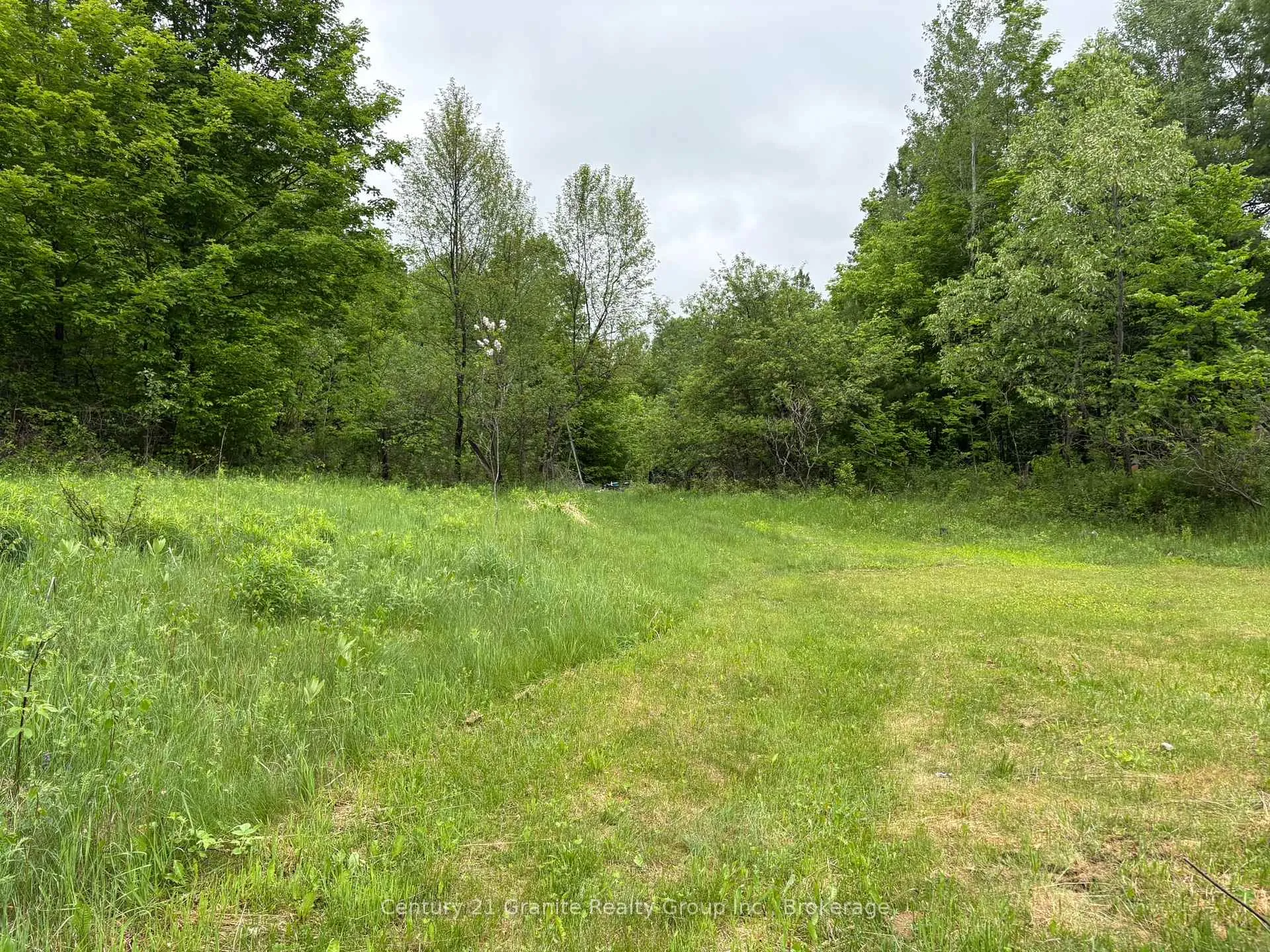 Photo 5 of 577 Lakeview Road, Bancroft, Dungannon Ward — HOMEH