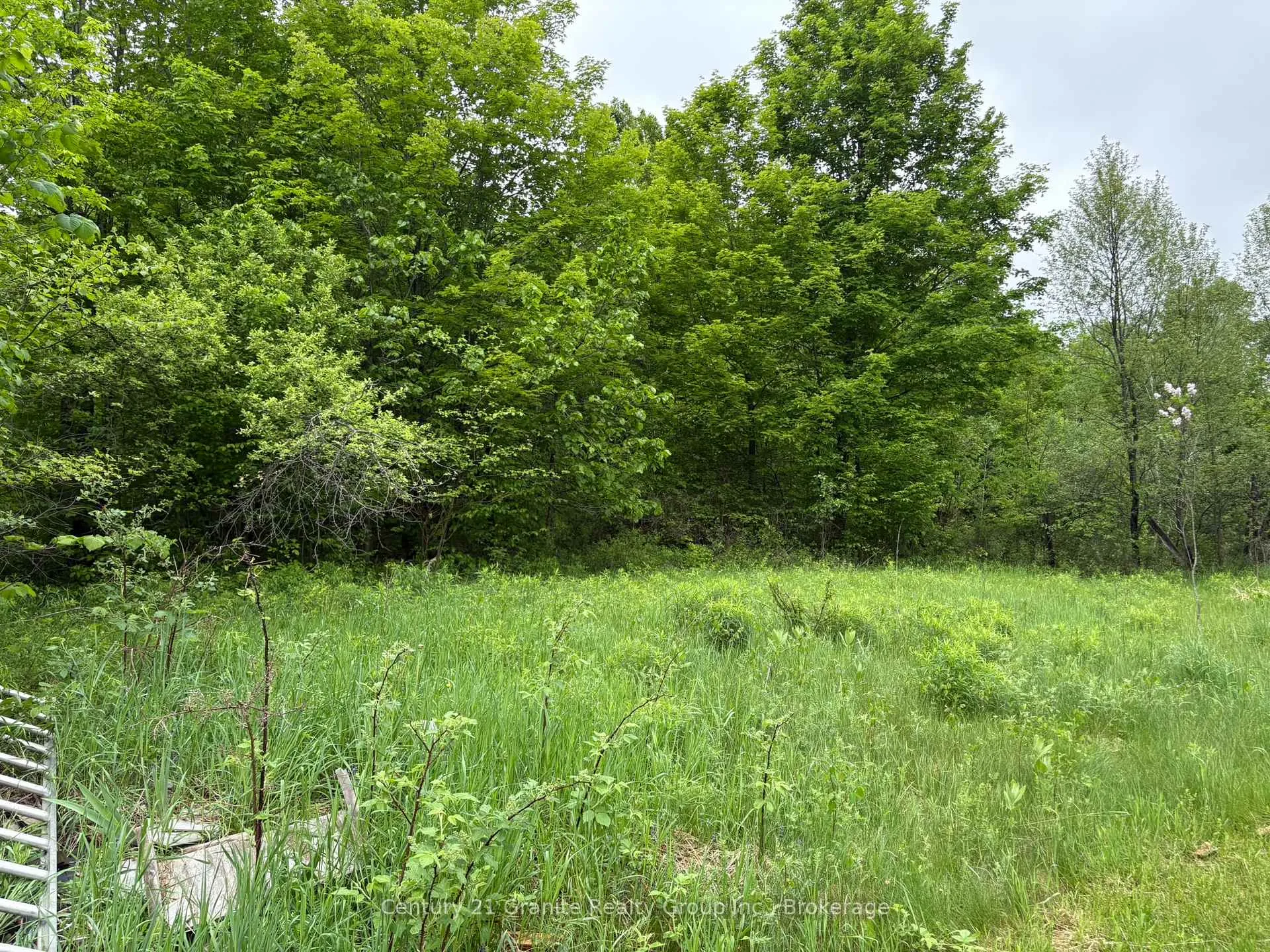 Photo 6 of 577 Lakeview Road, Bancroft, Dungannon Ward — HOMEH