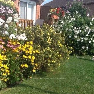 Photo 31 of 305 Stanley Street, Barrie, East Bayfield — HOMEH