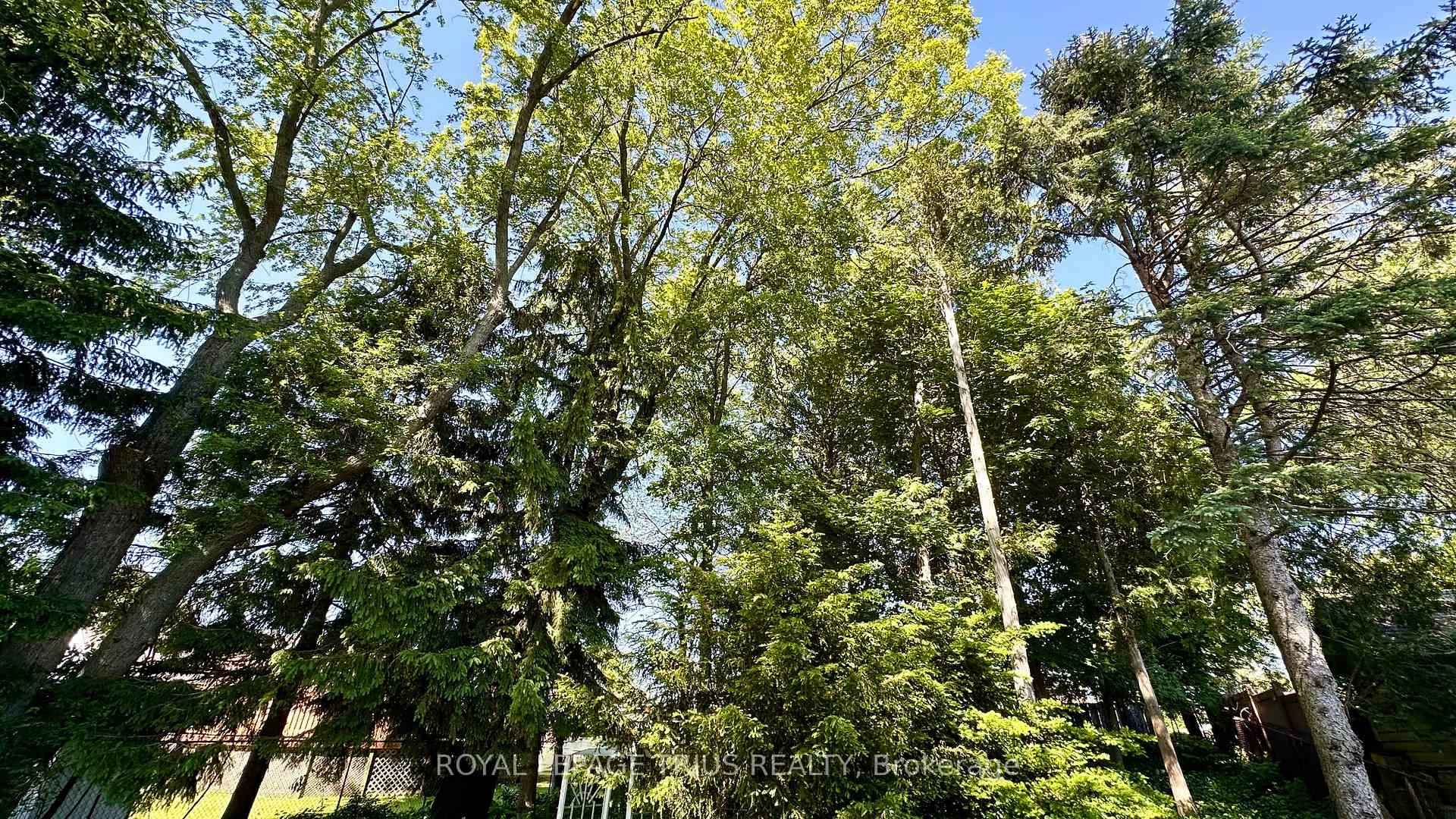 Photo 31 of 63 Lee Avenue, Norfolk, Simcoe — HOMEH