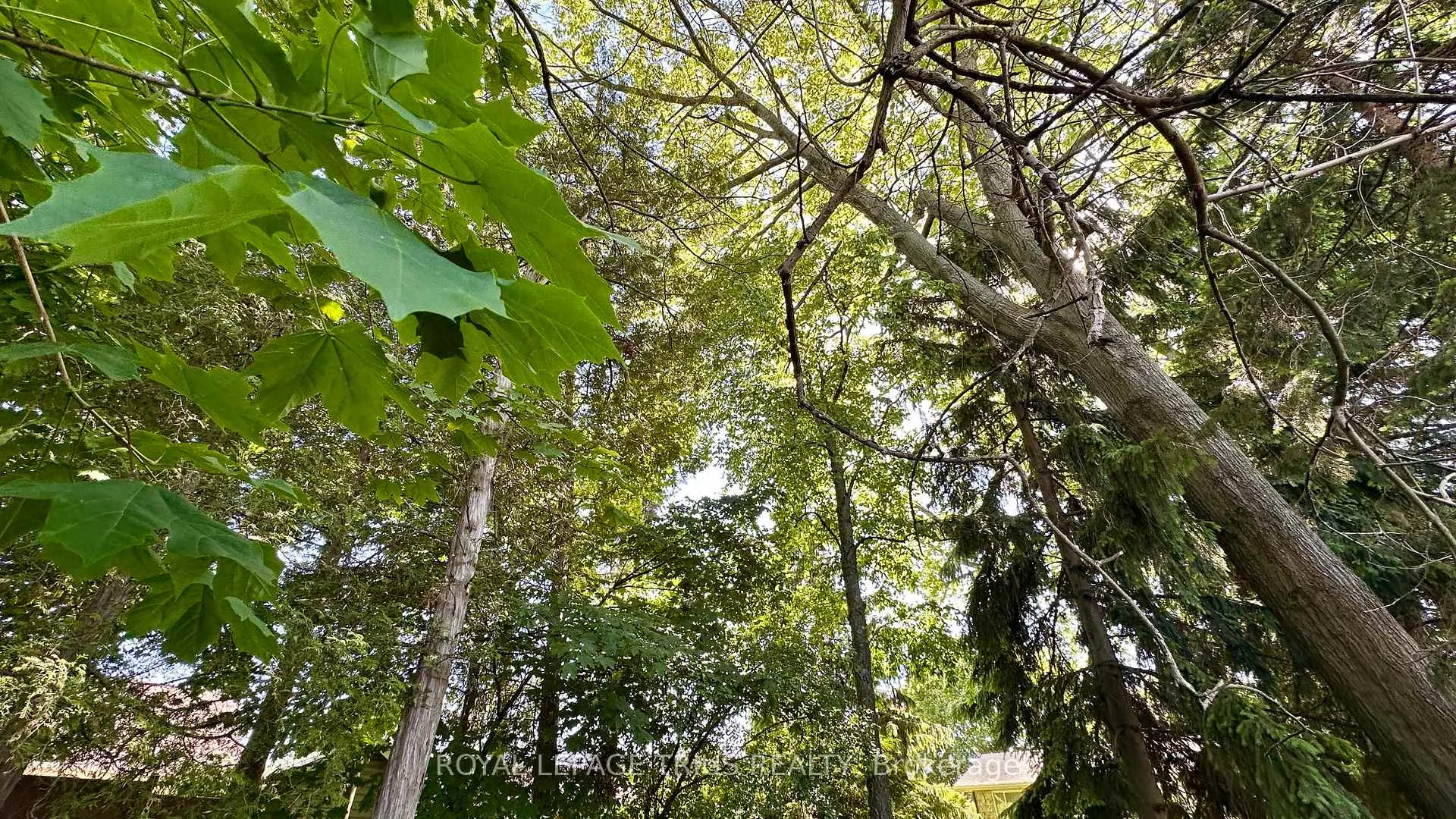 Photo 33 of 63 Lee Avenue, Norfolk, Simcoe — HOMEH