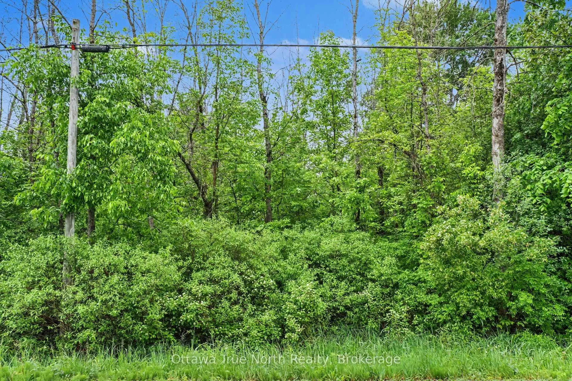 Photo of 412 Scotch Line Road