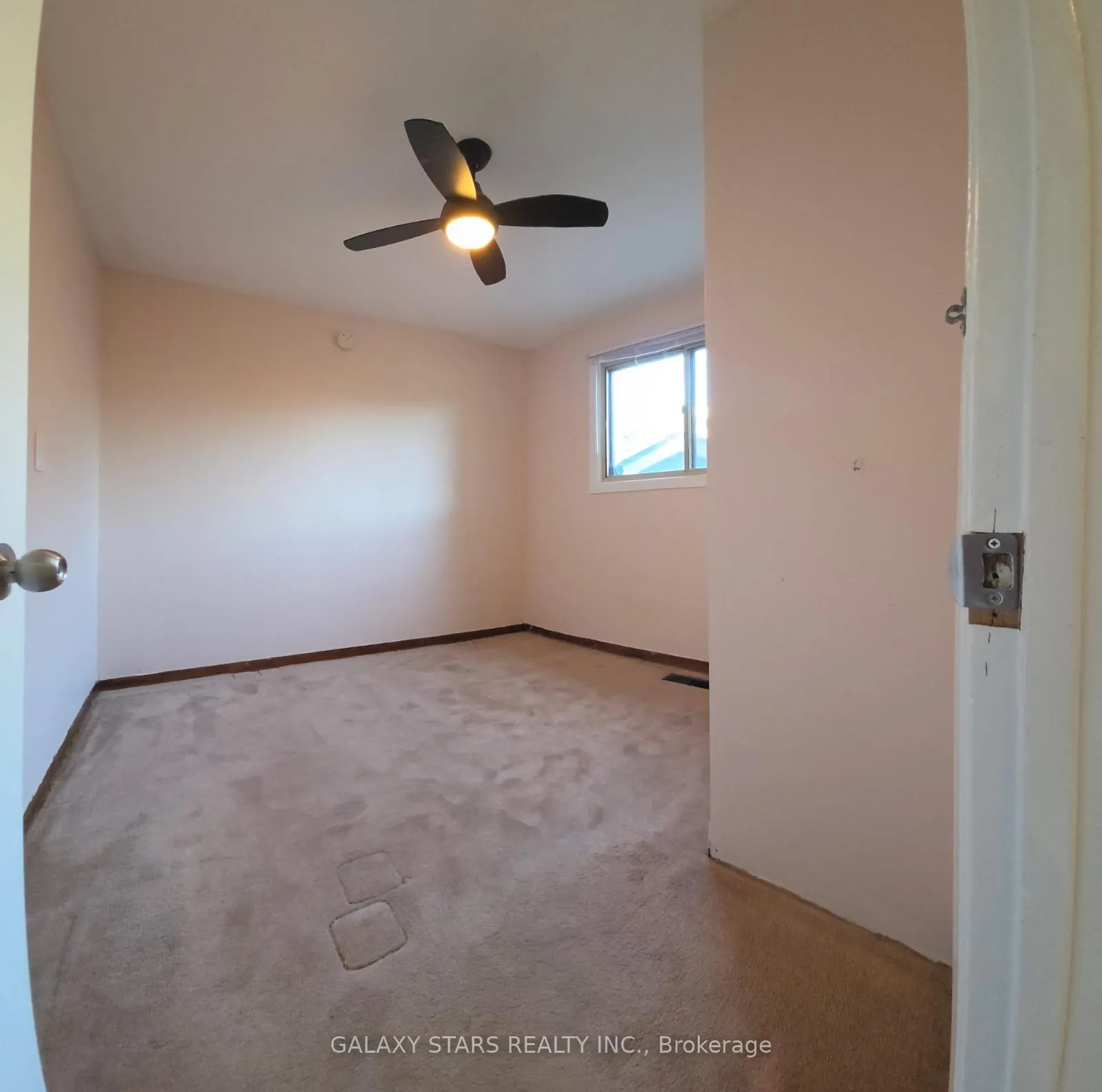 Photo 8 of Unit Main, 39 Dunkirk Road, Toronto, Danforth Village-East York — HOMEH
