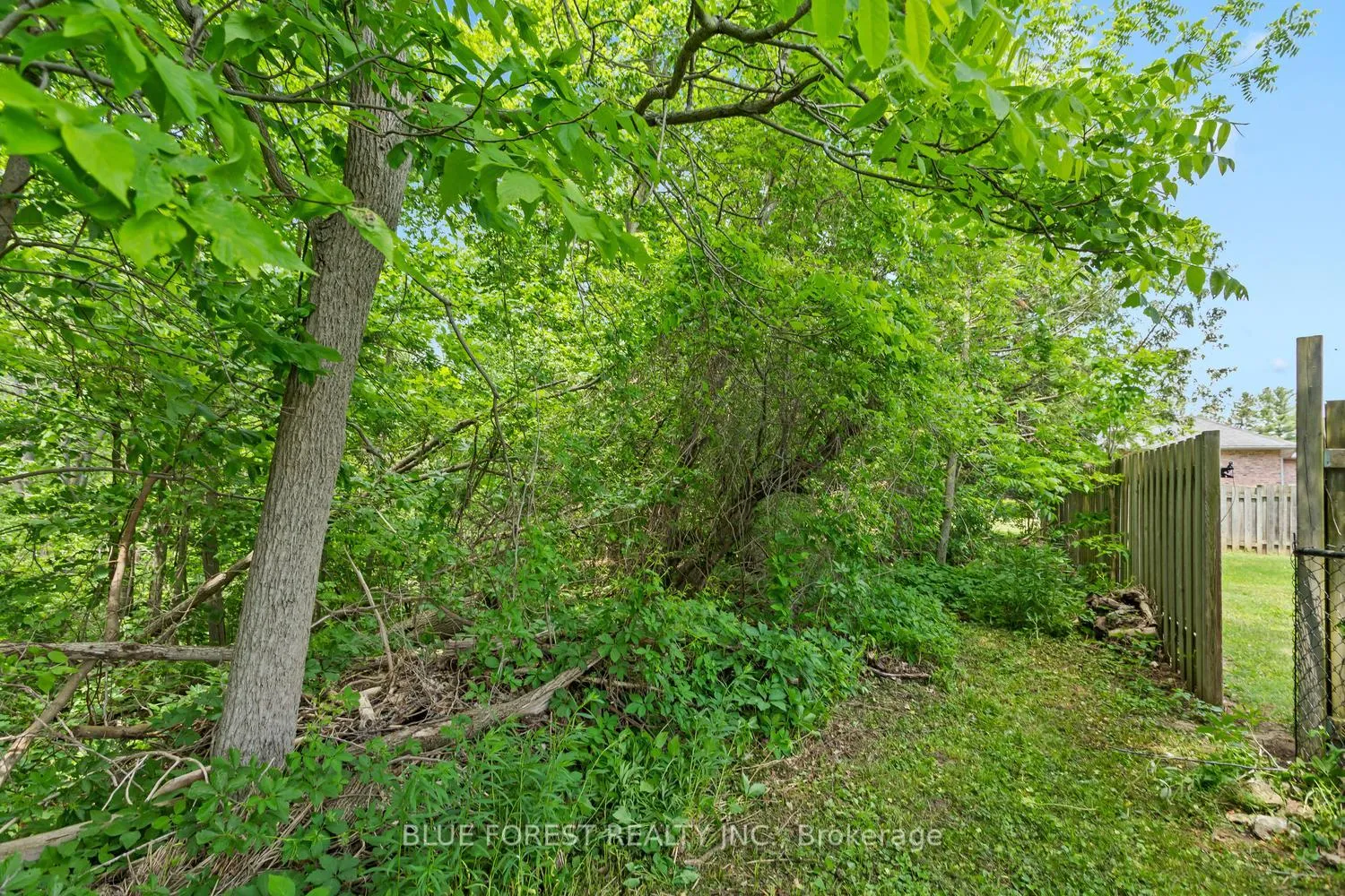 Photo 46 of 183 Queen Street, North Middlesex, Ailsa Craig — HOMEH