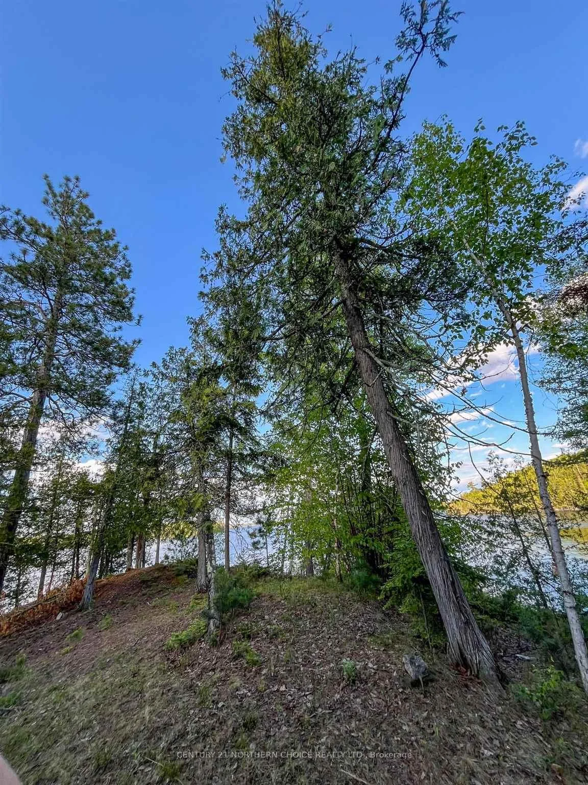 Photo 4 of 11 Hay Island E, Kenora, Keewatin — HOMEH