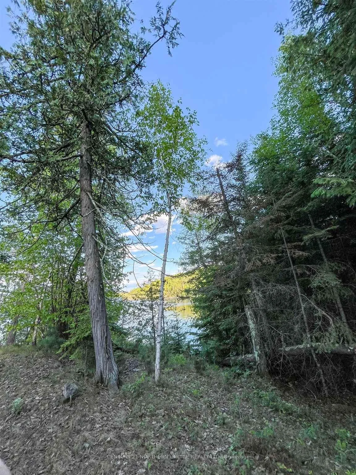 Photo 5 of 11 Hay Island E, Kenora, Keewatin — HOMEH